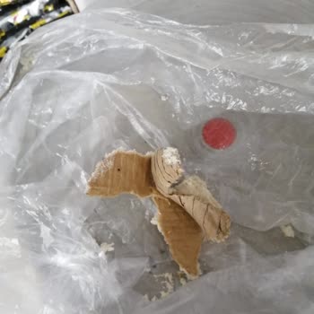 BİM Ekmekten Karton Çıktı