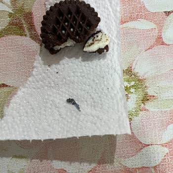 Eti Gıda Eti Nero'nun İçinden Plastik Çıktı