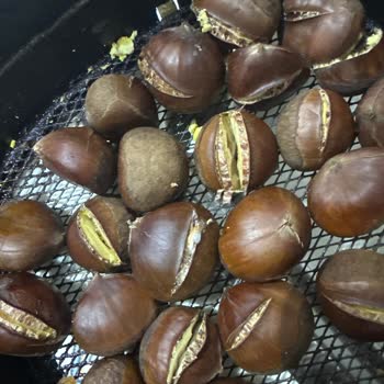 Şok Marketler At Kestanesi Satıyor