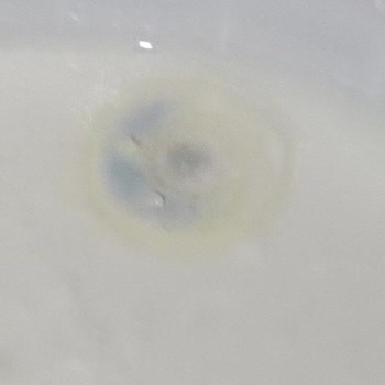 A101 Tarihi Geçmiş Ürün Satma