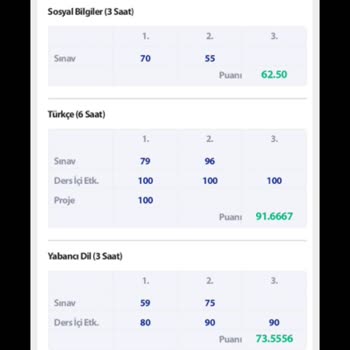 E-Okul Sistem Sorunları Ve Öğrenci Mağduriyetleri