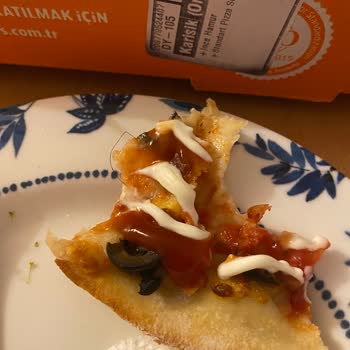 Little Caesars Pizzanın İçerisinden Kıl Çıktı!