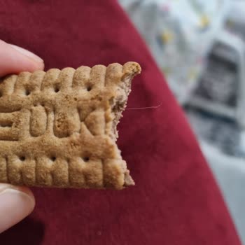 Ülker İkram Bisküviden Kıl Çıktı