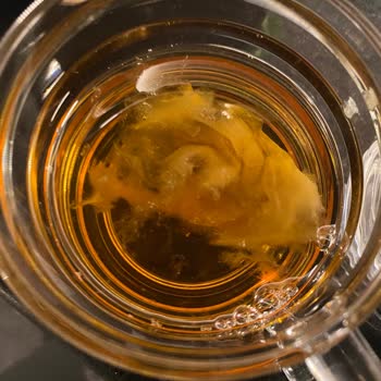 Fuse Tea İçinde Küflü Posa