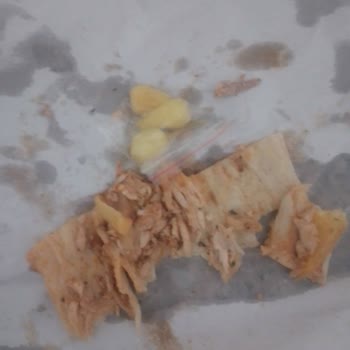 Zurna Dürüm Tuzla Aydınlı Zurna Durum