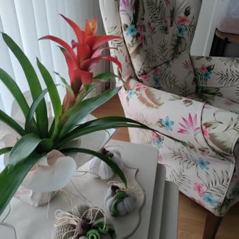 Çiçek Sepeti Tam Hayal Kırıklığı Oldu