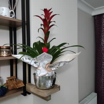 Çiçek Sepeti Tam Hayal Kırıklığı Oldu