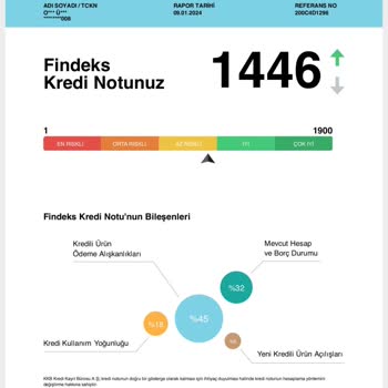 Findeks Kredi Notum 33 Saatte 197 Puan Düşmüş