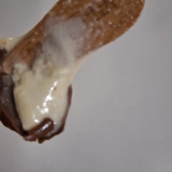 Magnum Şikayet Yazacağım Hiç Aklıma Gelmezdi