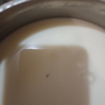 Happy Center Unda Böcek Çıktı