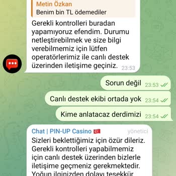 Pinupbet Pin Up Pişmanlık