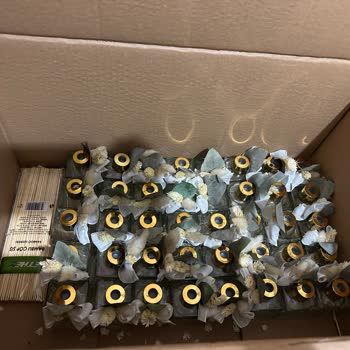 Organizasyona Dair Herşey (organizasyonadairhersey_) Organizasyonadairhersey_ Kusurlu / Eksik Ürün Gönderildi