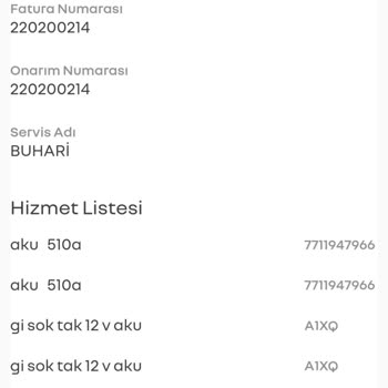 Renault Clio 5 Kronik Akü Problemi