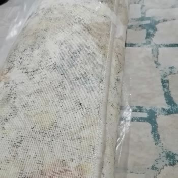 İçel Halı Yıkama (Mersin) Islak Halı Gönderdiler