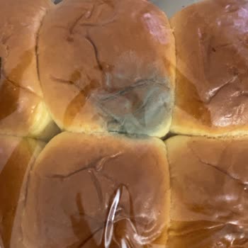 UNO Ekmek Küflü Ekmek Hayal Kırıklığı