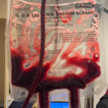 Vetline Hayvan Hastanesi Tüccar Veteriner Ve...