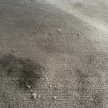 Ata Halı Sattığı Ürünün Arkasında Durmuyor