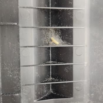 Roborock Islak Süpürge Ve Teknosa Ortak Çalışması Pişmanlığı