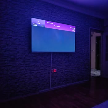 Regal Panel Arızası Karanlık Ekranda Parlama Mevcut