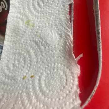 Indomie Körili Hazır Noodle İçinde Kurt Çıktı