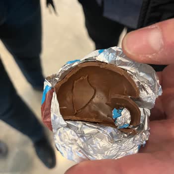 Ozmo Yumurtadan Canlı Kurt Çıktı