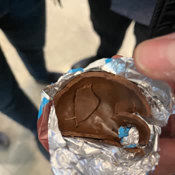 Ozmo Yumurtadan Canlı Kurt Çıktı