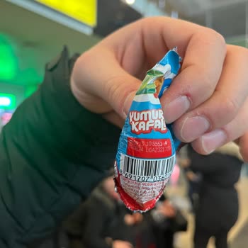 Ozmo Yumurtadan Canlı Kurt Çıktı