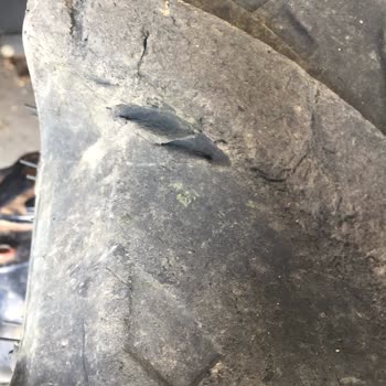 Petlas Lastik Sıfır Lastik Hayal Kırıklığı