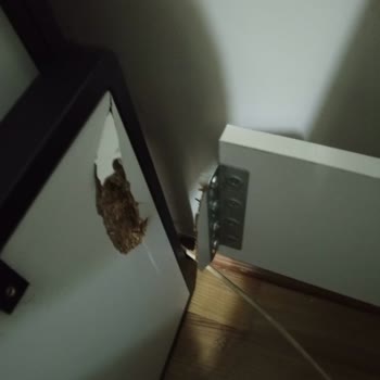 Genç Bebe Mağdur Ediyor