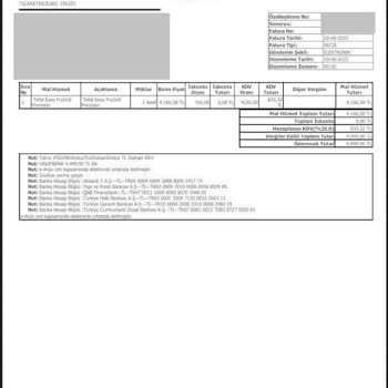 Tefal Airfry Boyasının Soyulması