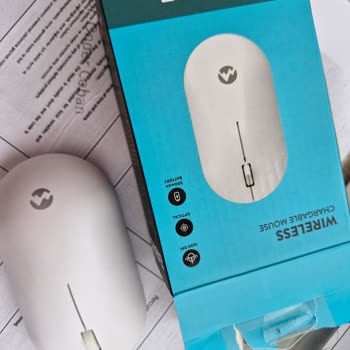 Everest Mouse Smw-399 Bozuldu