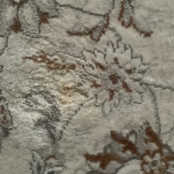 Almoss Halı The Mia Modelinin Kalitesizliği Üzerine