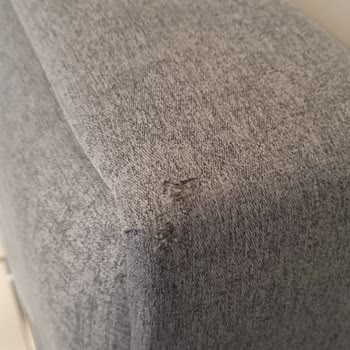 Kelebek Mobilya (magza Ve Kelebek Mobilya'dan Şikayetçiyiz)