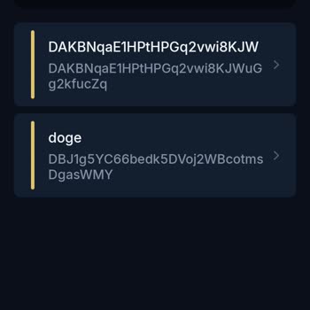 BTCTURK-Doge Transferi Mağduriyeti