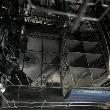Vestel Teknik Servis Problemi