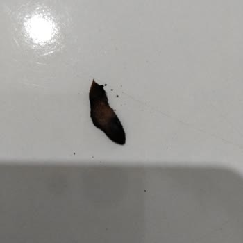 Philip Morris Tütünde Dal Çıktı