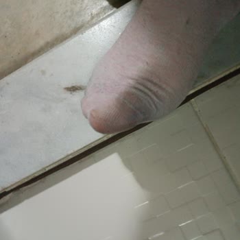 Greyder Ayakkabı Su Çekmesi Renk Vermesi