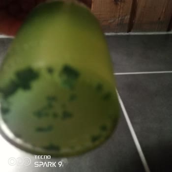 Schweppes Hayal Kırıklığına Uğradım
