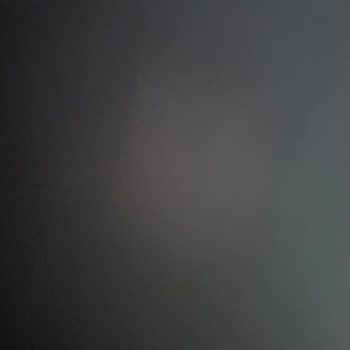 Çerezya Paketlenmiş İncir Ürününde Beklenmedik Misafirler