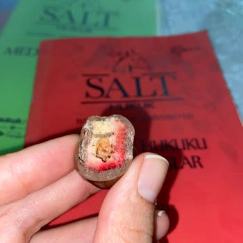 Patiswiss Kurumuş Böcek Çıktı