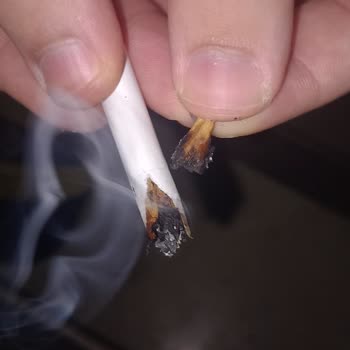 Parliament Sigaradan Odun Çıktı