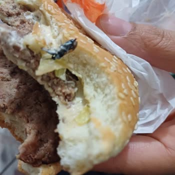 Burger King Hamburgerden Çıkan Sinek