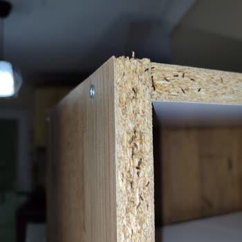 A101 Mutfak Dolabı Böceklendi