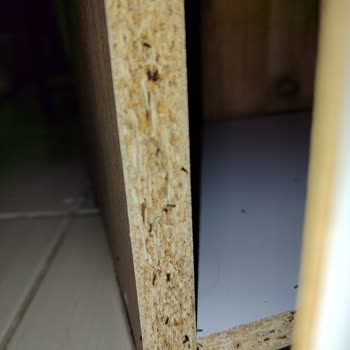 A101 Mutfak Dolabı Böceklendi