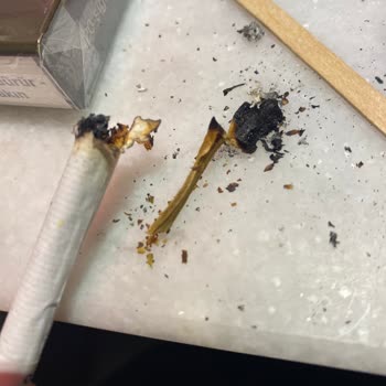Marlboro Tütün Yerine Odun Parçaları