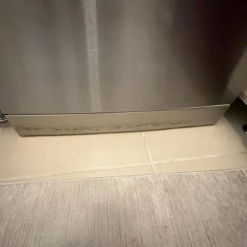 Bosch Buzdolabı Ve Bulaşık Makinesinin Rengi Atıyor