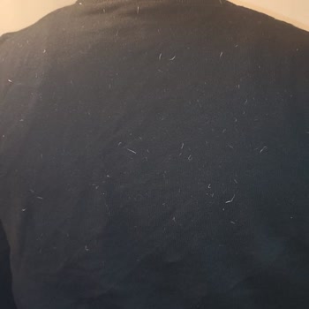 Avva Mont Çok Fazla Tüy Döküyor