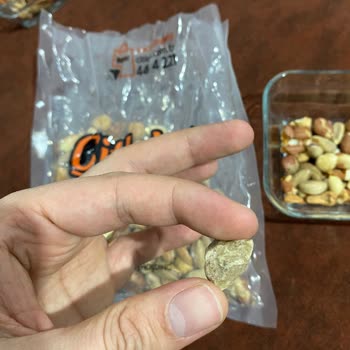 Çitlekçi Çerezlerinden Çıkan Taş