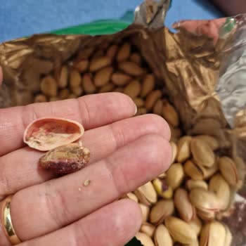 Amigo Şok Markette Satılan Siirt Fıstığı