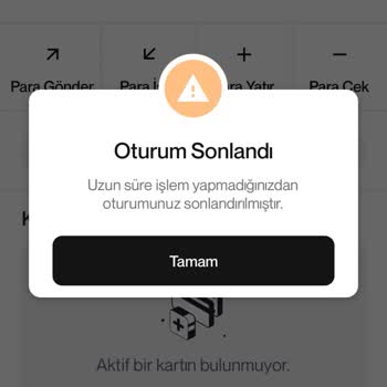 Papel Giriş Problemi